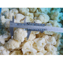 Frozen IQF Cauliflower Fast Frozen Cauliflower